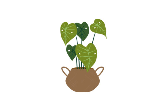 Bringing Nature's Elegance to Your Creative Projects
