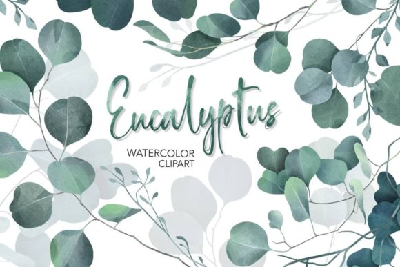 Crafting Natural Elegance with Eucalyptus Watercolor Floral Clipart